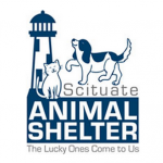 AnimalShelter