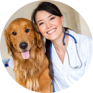 the picture of doctor with a dog
